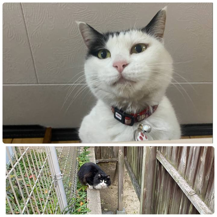 4b995399 3d34 4c3d 8d0d 5d4d1c2467fc 1643208585592