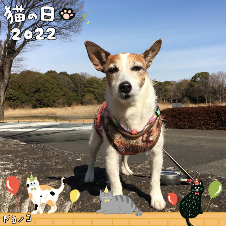 4b996031 c23e 425a 8e8a 6a7c4ccd87e9 1645501554038