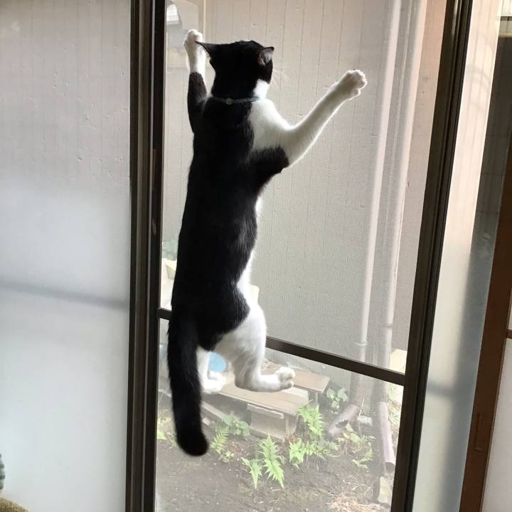 4b99626a a979 4069 aa54 4adac7d803cd 1634464719313