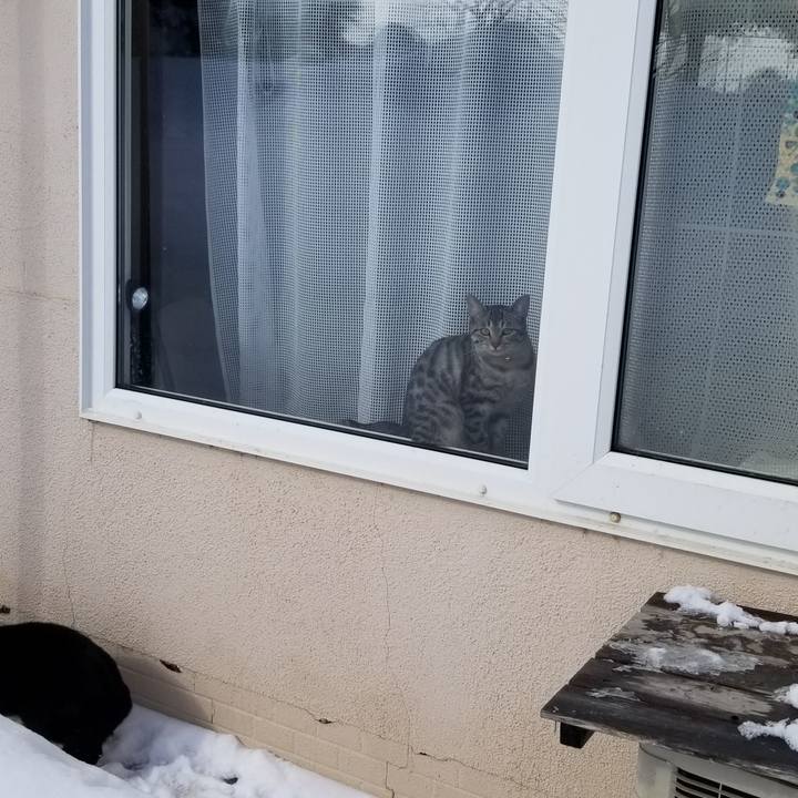 4b997e43 9f90 4fb7 be73 7e587bba6b7b 1676468286926