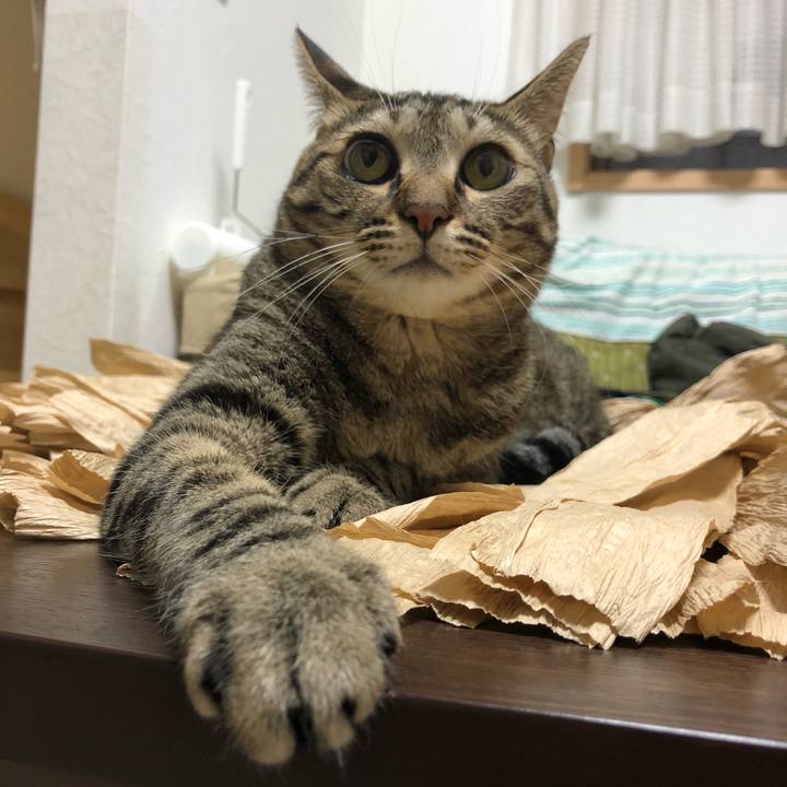 4b9997dc 4a40 4309 aab3 982e43ea782d 1537220096337