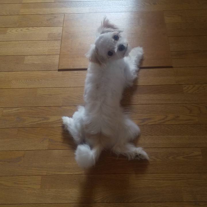 4b99b296 472e 4baa 9d06 e001e9ddce54 1693444254356