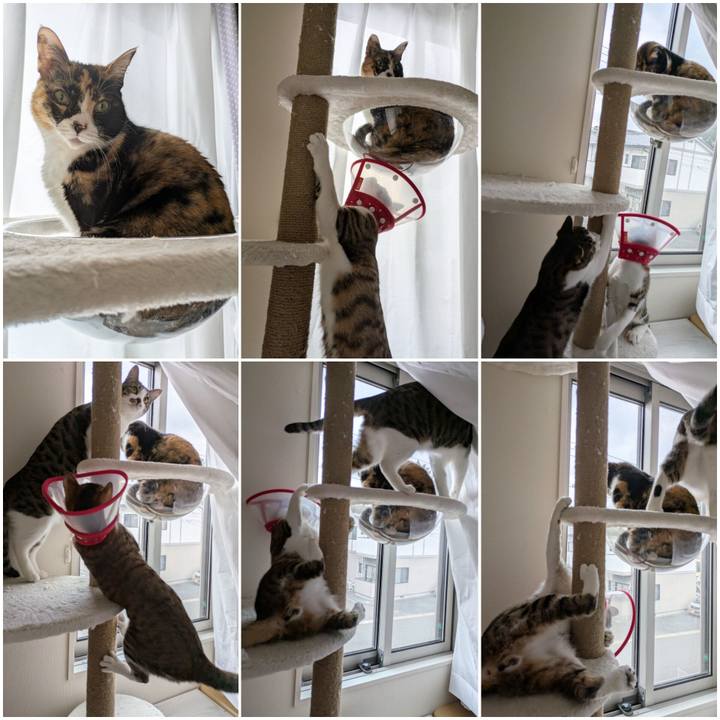 4b99f492 0200 4276 b8d0 1a3fbb012369 1741690052702