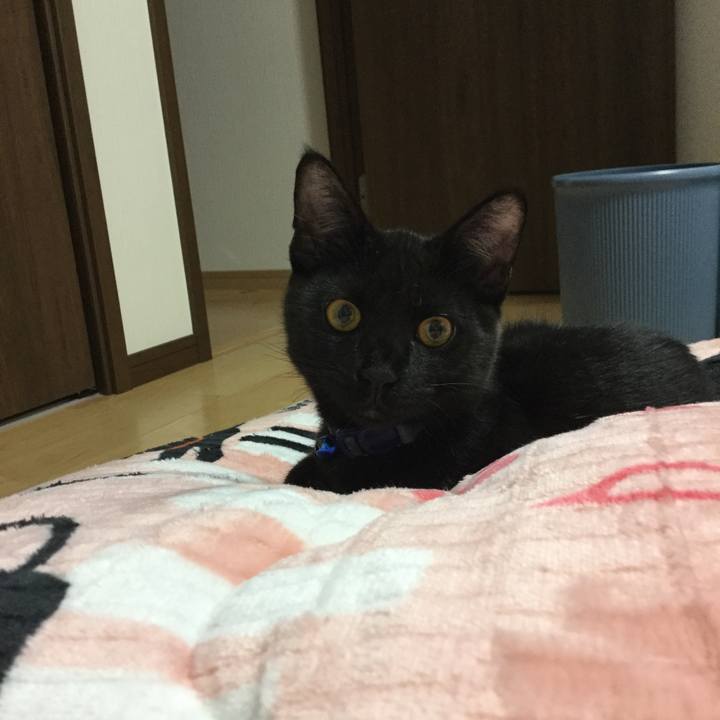 4b9a0552 37cd 4262 91f6 6f4ef3a27ca7 1509369911100