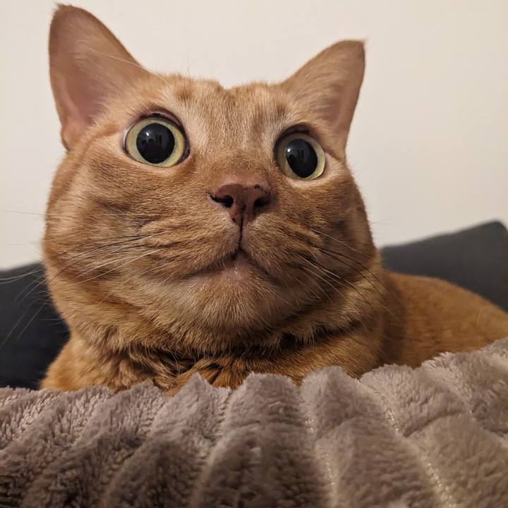 4b9a13da 4be5 4aad b655 6600c07cb9ee 1738415095822