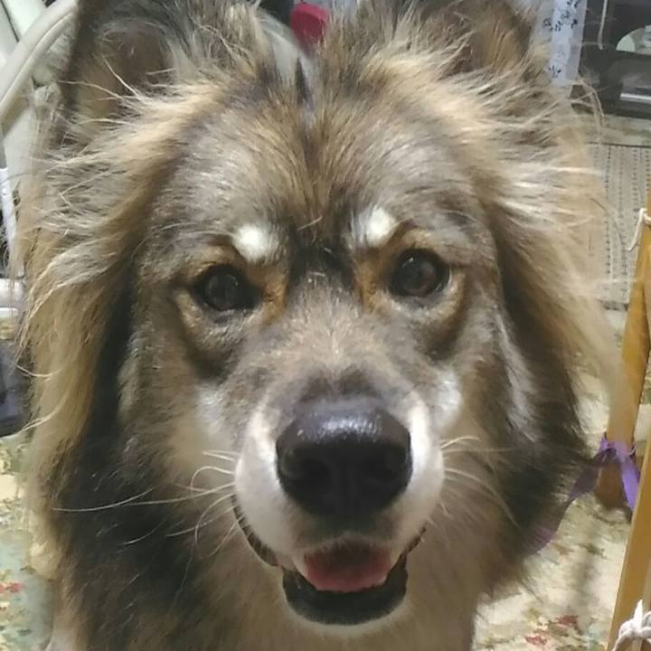 4b9a286c 8fb3 44ac 8885 b2a54de625ee 1510624788816