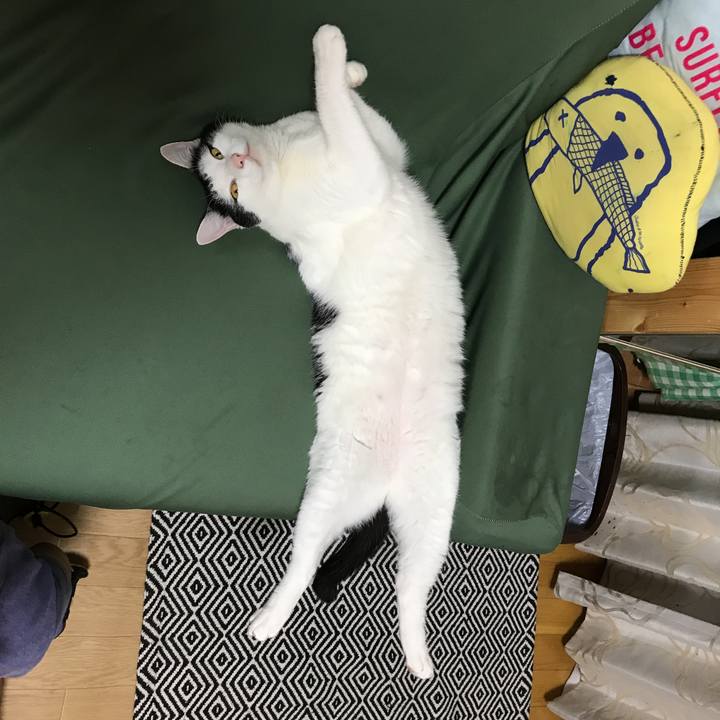 4b9a8d55 df66 4d40 a682 75a172450dd5 1570525109543