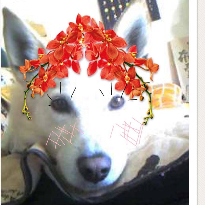 4b9aab49 38b9 47e4 9eaa c62961d2beb5 1520080279996