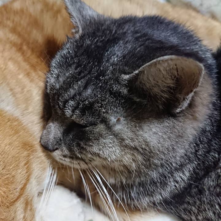 4b9b3594 f847 414c bda6 a99c46d1544e 1579435605403