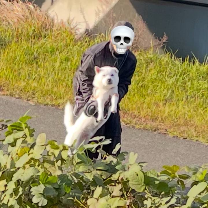 4b9b4858 69e6 408d 88bb 87f13eee7829 1733014183056