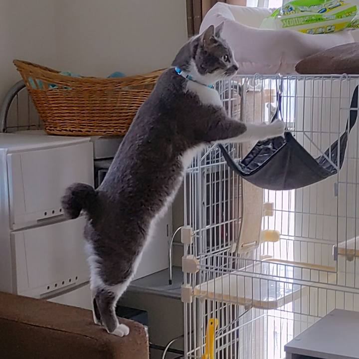 4b9b810a 382a 474a 808c a9245327d6cf 1654761575356