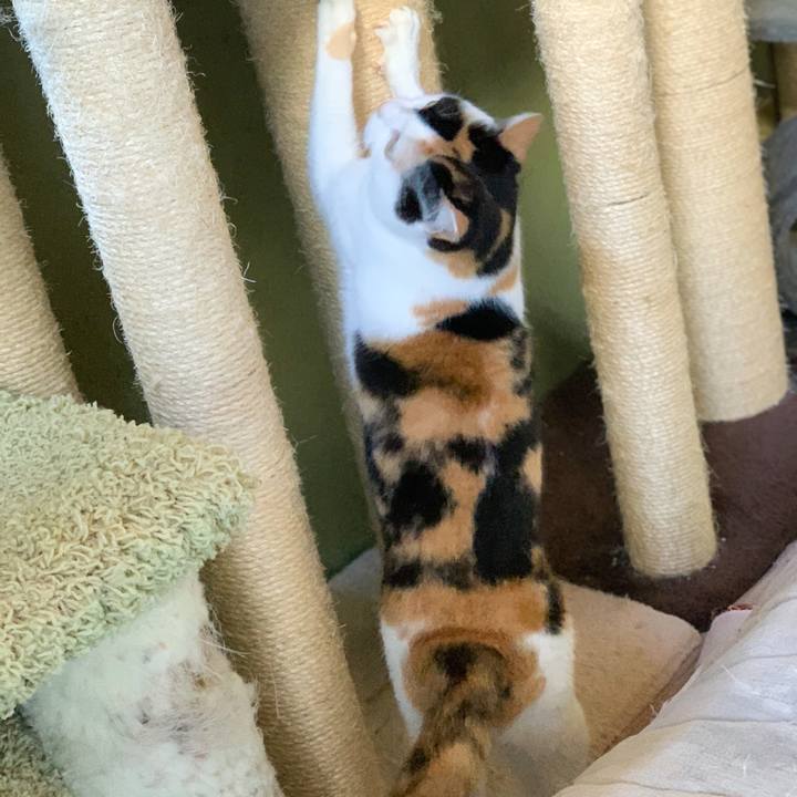 4b9bb7ef c52c 4a16 a792 0ff276917c6b 1580089523739