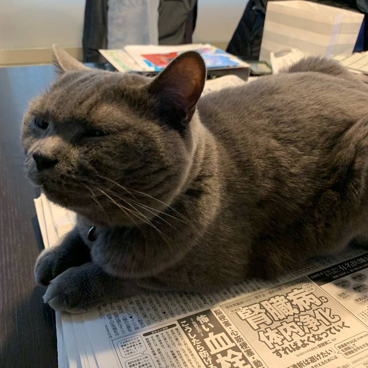 4b9bd0c2 866b 467a aea3 1cb6a7092ba4 1670764246397