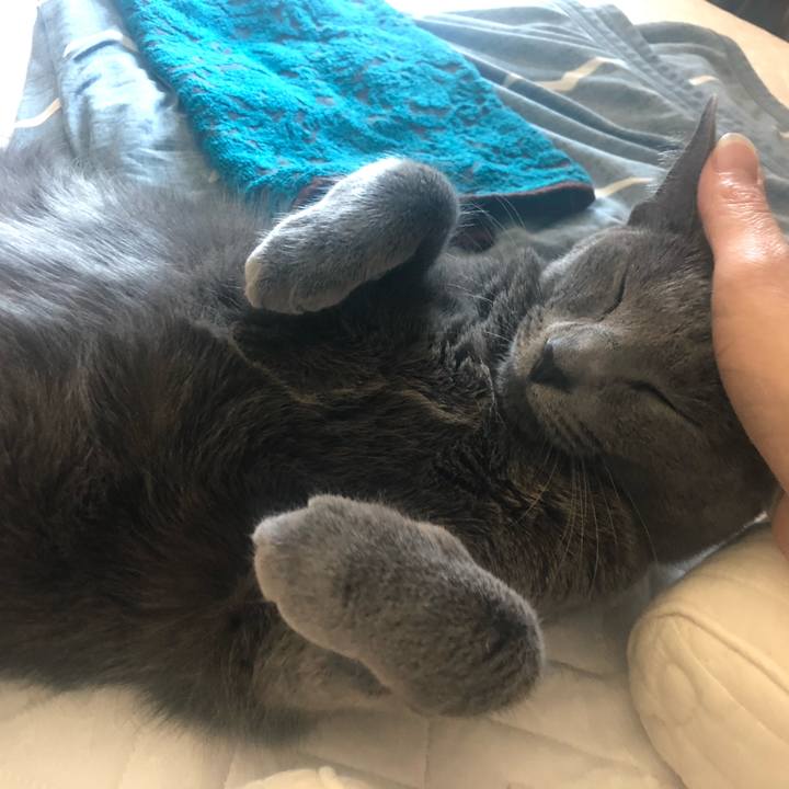 4b9c1e64 c868 441b bc87 ac94bcb07ada 1564021029843