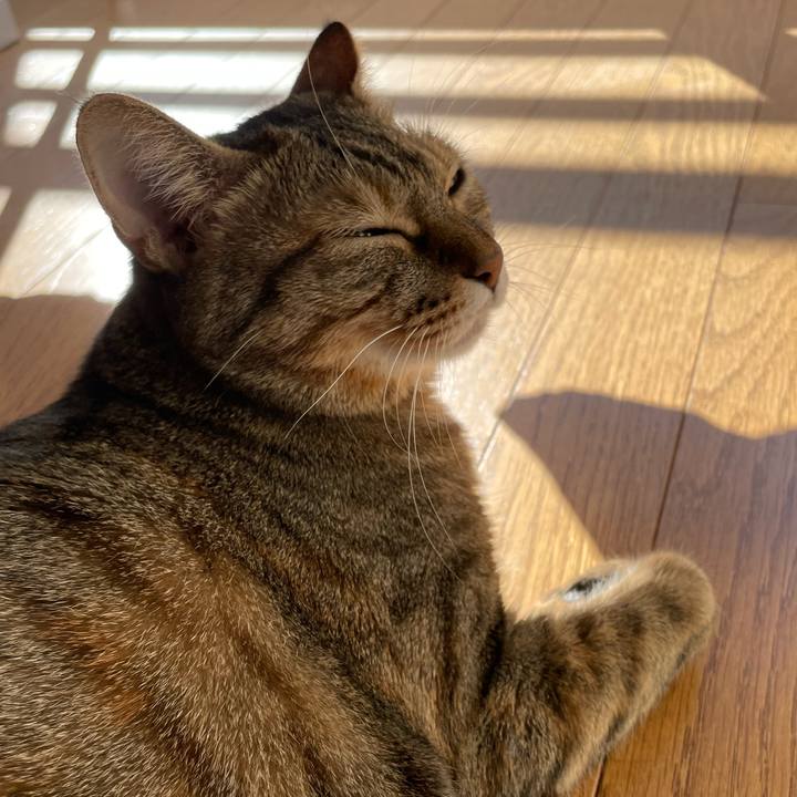 4b9c43ac a44d 40fd 8e13 afb295cbf631 1698106716790