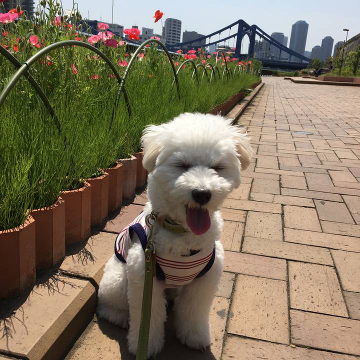 4b9c6e38 e305 49ca 92be 76eaf90360bf 1524201857921