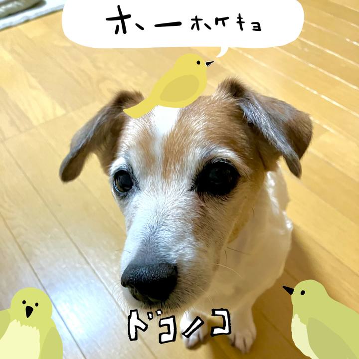 4b9c88db 270c 4a88 82b3 ccc56fd55706 1711030252142