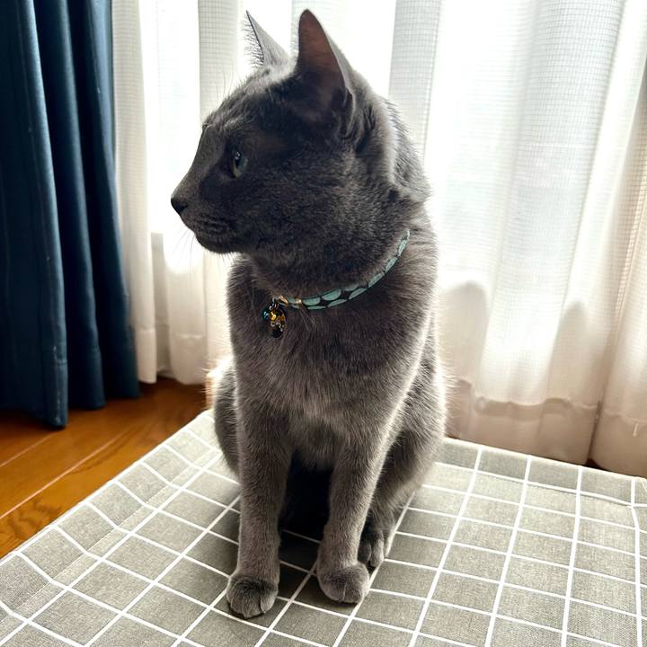 4b9ce738 1720 49cc 9fbf ff429d2e035f 1680396552326