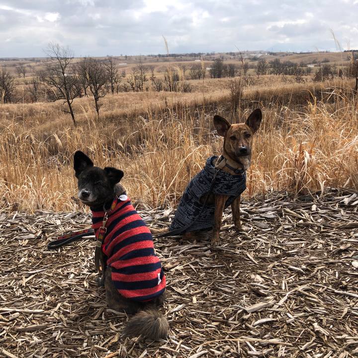 4b9ce93c 18cb 4c83 b614 fa756a6d7c50 1582728682695