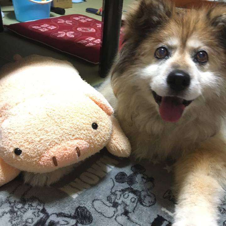 4b9cf051 cdca 4313 b24b 26335ff534c4 1547836084154