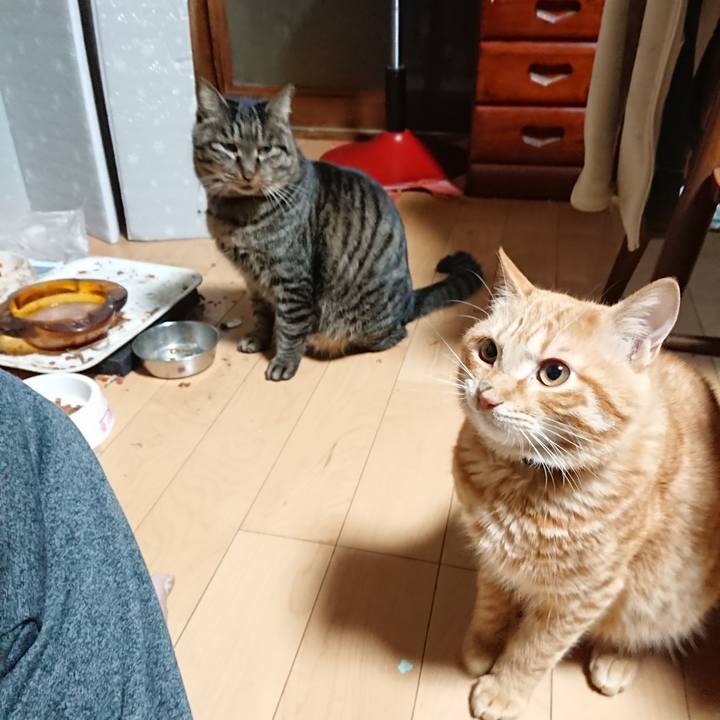 4b9d16ed 5cbe 4582 b3eb 4f4f884e1283 1641243290674