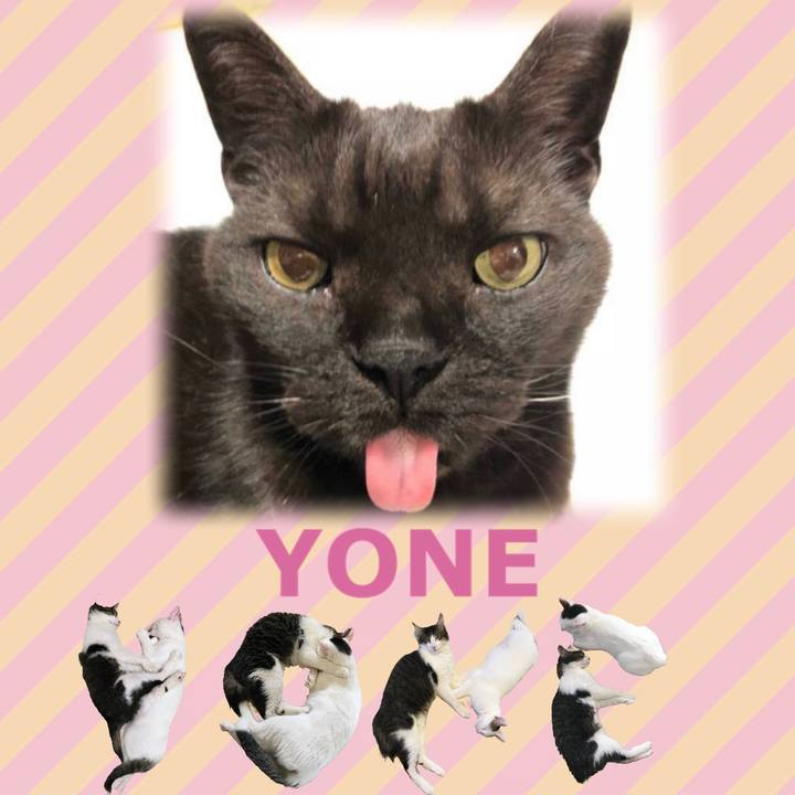 4b9d24cc 195f 4963 98a4 4d92ca9686e4 1667547079414