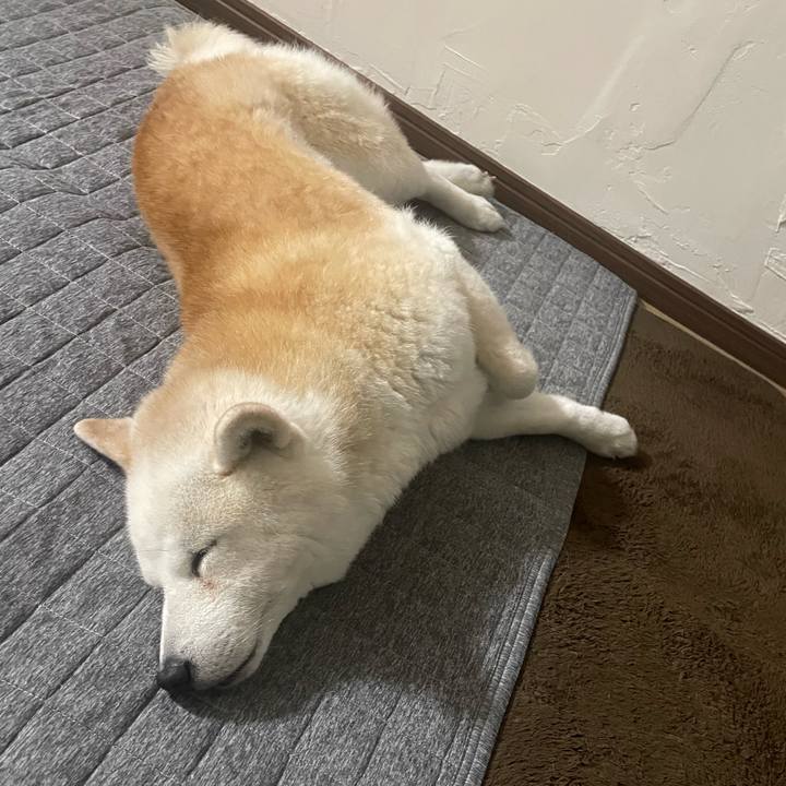 4b9d35fc 5fef 4a1c 915f f39a2d175152 1716903496795