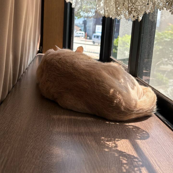 4b9d372e 21af 4d7c a30f 4355a0aa7dbc 1716346235588