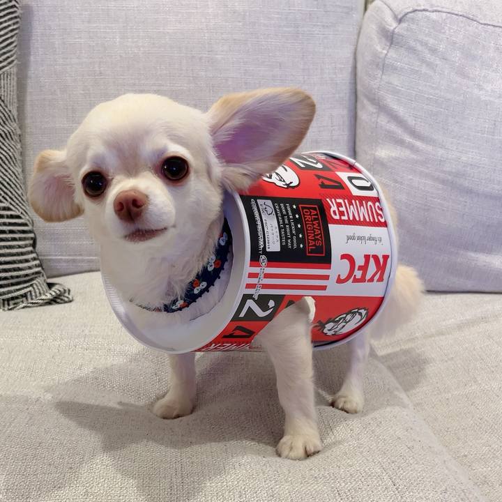 4b9d9015 142f 4c78 a8a0 95cad305c2a3 1723294577672