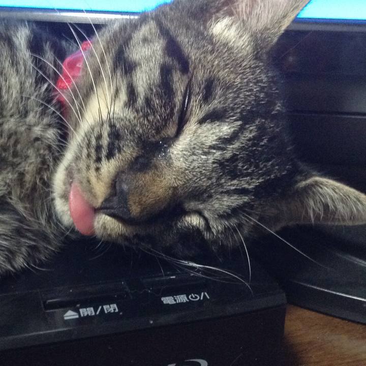 4b9dc644 0c35 4c32 a9c0 d842d61efbdd 1532775370048