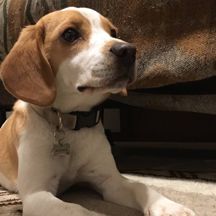 4b9dea14 1667 447a aabf 00265cb3cecc 1557325691930