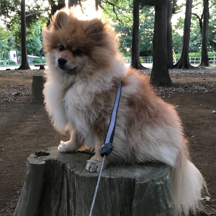 4b9dea64 611e 4264 b677 117aac016697 1527639005221