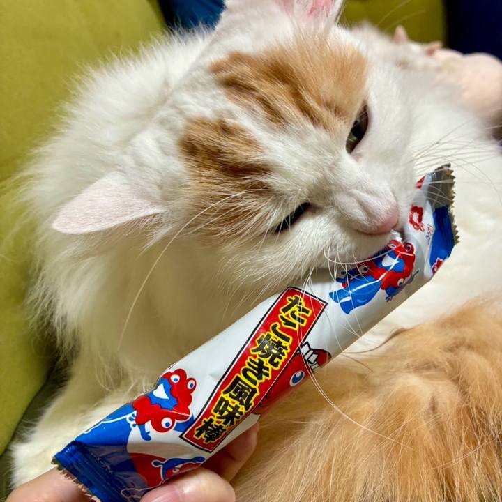 4b9dfbbe 0784 451d b2a7 66d603a7f11f 1761882359640