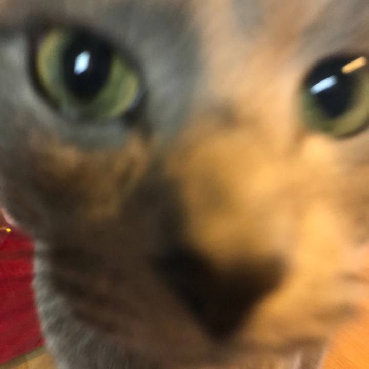 4b9e4d1a a107 4ea7 92cd 4caee356774a 1579078083861