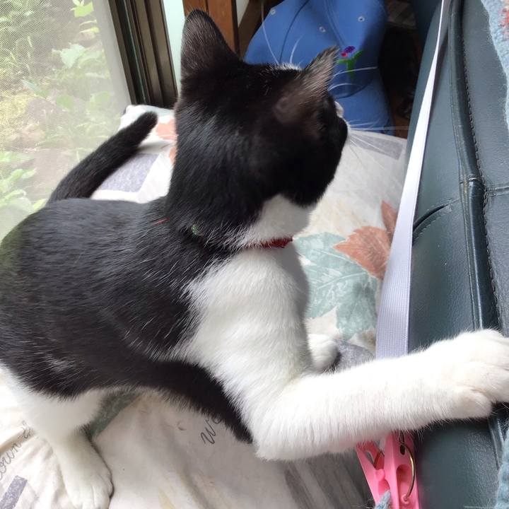 4b9e7c28 f424 4ba8 9ac2 cac764212947 1629079544855