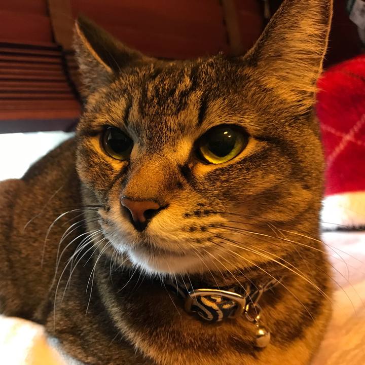 4b9e889b 5ce4 4a0b aac1 082846b6323f 1552203145065