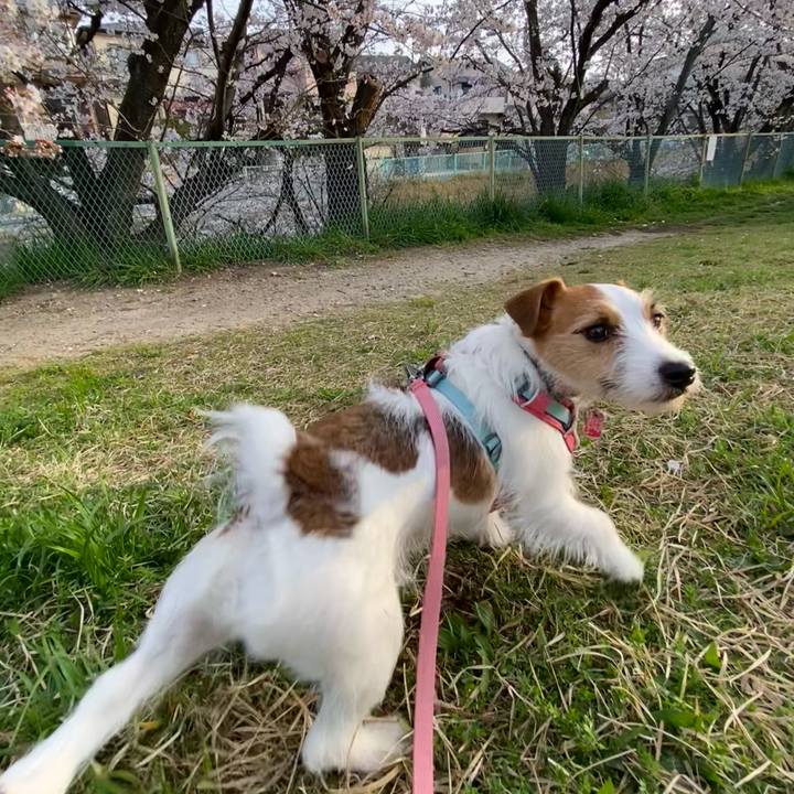 4b9ec32b c6a0 4a03 87db 7d060f24936b 1712366162939