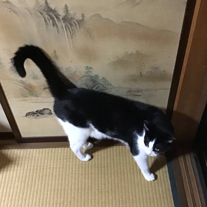 4b9ed13c cca5 45da b0a8 9485bff43e99 1755086100758