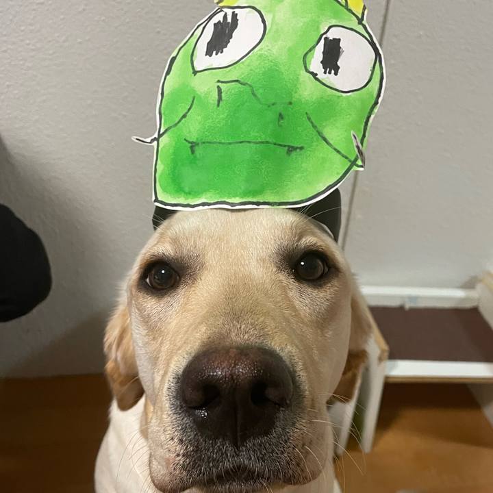 4b9f17b0 3896 454e bee3 14c4b2be749c 1644317848793