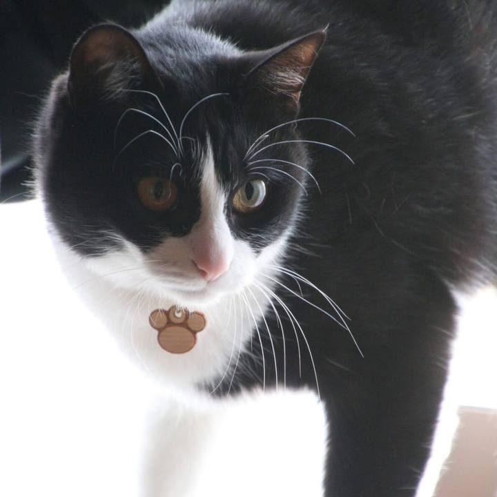 4b9f22e7 a287 43d0 b43a 5d565c5e0cde 1554529072599