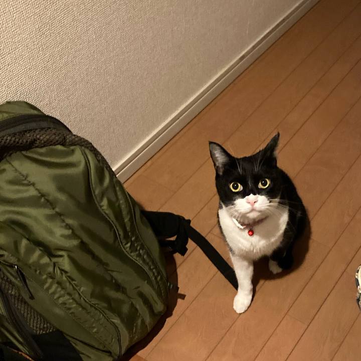 4b9f3a1b 06dd 4f61 b78e 5991b3a9ae9d 1666412469017