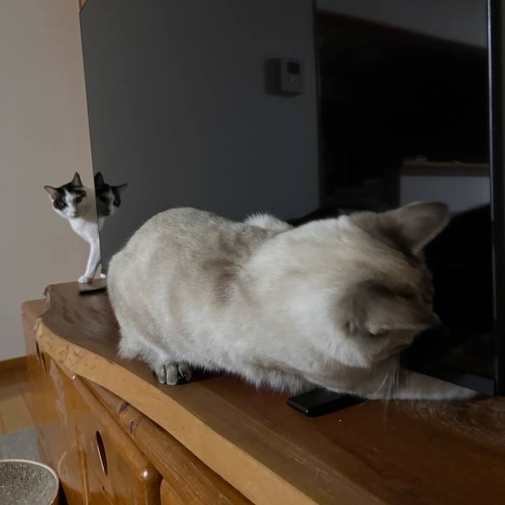 4b9f5a85 b80e 4671 924c 21e71a4ef9b7 1739973335059