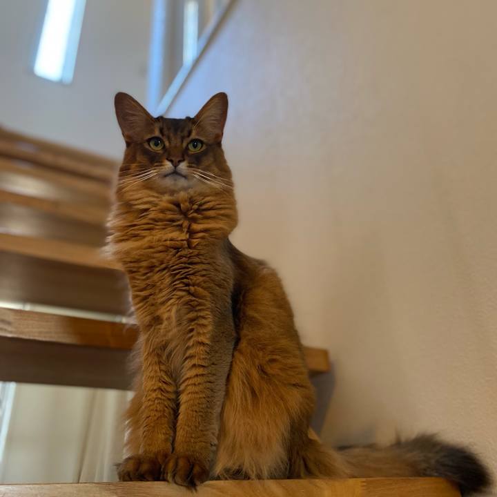 4b9f83b3 a5d5 470b 868b 54bf24b6cf22 1685839032623