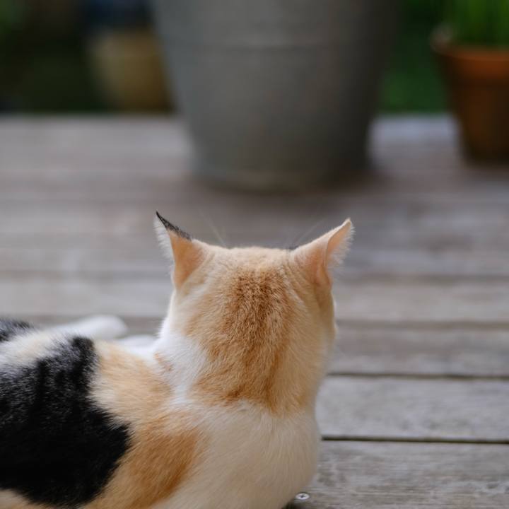 4b9f8505 bf7b 4d9e a6e5 8cb22c3d37c4 1697166898043