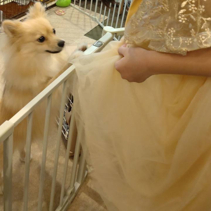 4b9f8607 96cc 444d 8e84 ae18154a531b 1757896157031