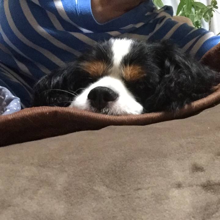 4b9fab6a 71b3 4793 86c7 9090f602ca1c 1508573372585