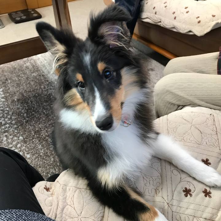 4b9fba5f 76e1 4b9e aee8 9de6bf4d887b 1514848658598