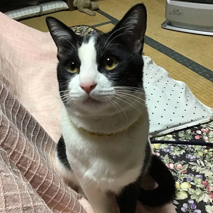 4b9fdefe 7a24 4e07 b7c1 e84b26bc76b3 1646302696380