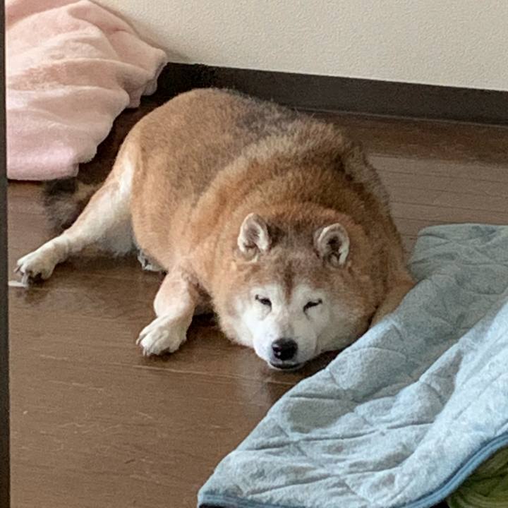 4b9fe65a 7a3b 4a16 a6ab a55854d8fc25 1638675700788