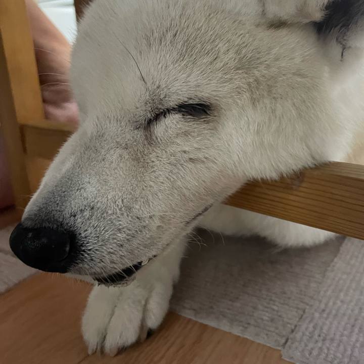 4b9fed09 0fac 4be3 a6f8 de62f66b61a8 1759929337155